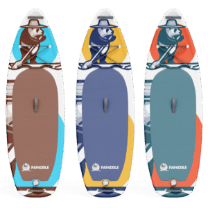 Modèle PANDA de PAPADDLE